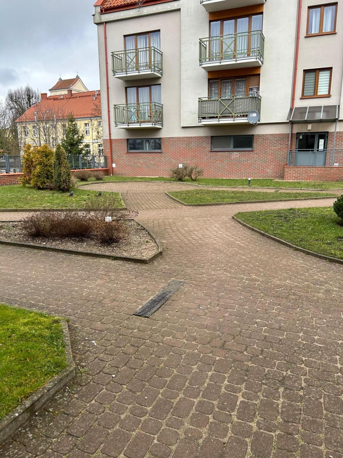 Apartment Roza